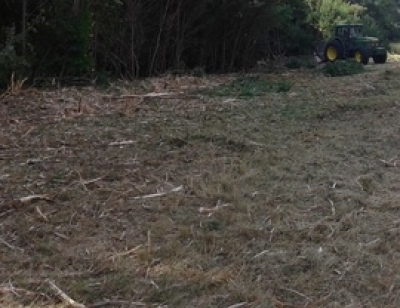 Care and improving measures for the game habitats