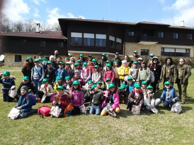 FOREST WEEK 2019